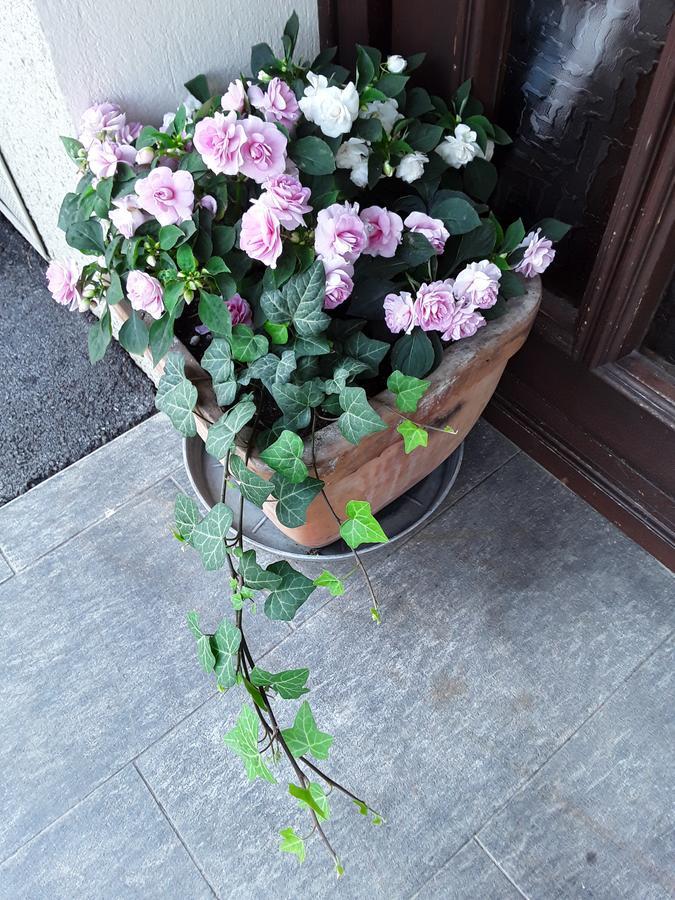 Gaestehaus Kuchernig Völkermarkt 외부 사진